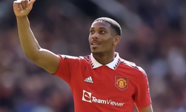 假設性描述 假設性描述